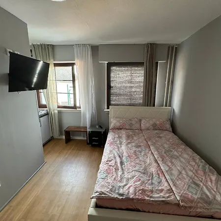Pension Naehe Frankfurt Airport 招待所