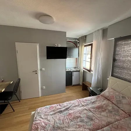 Pension Naehe Frankfurt Airport 招待所 *